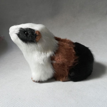 Teaching Mold Animal Simulation Guinea Pig