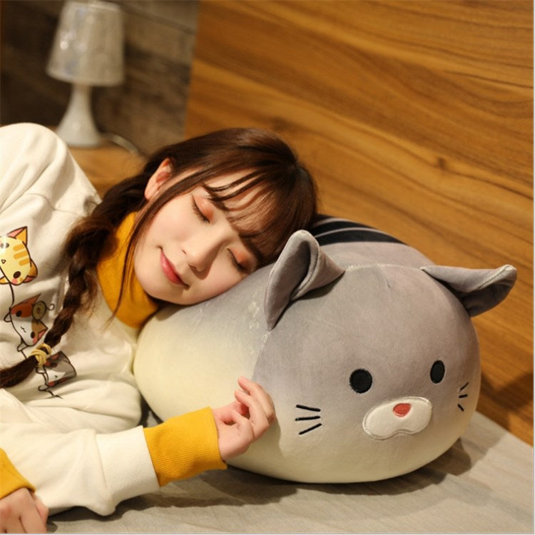 bed1cbe164d485c6cb170a157bce0dce