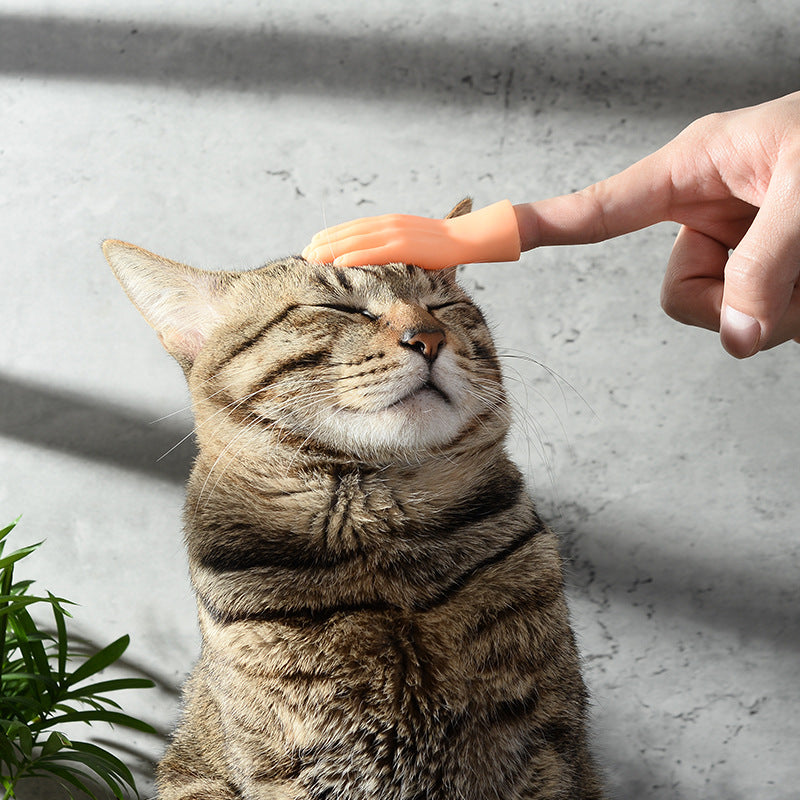 Vibrato With The Same Net Celebrity Finger Sets To Tease Cats And Cat Toys