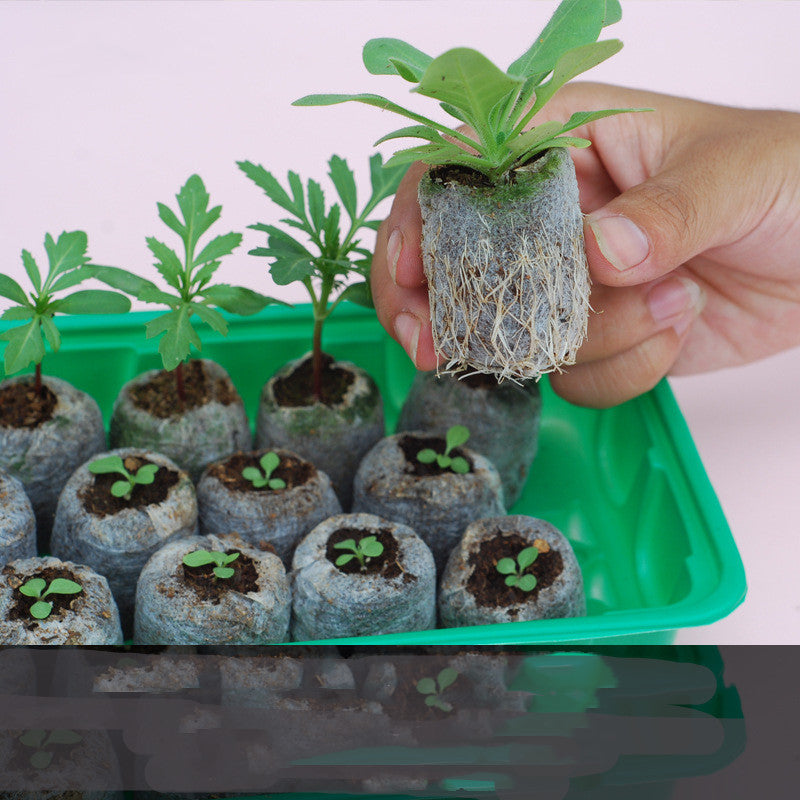 Gardening Tools Succulent Gardening Supplies Set Combination Planting Flowers Green Plants Succulents Tools - LJ Enterprise