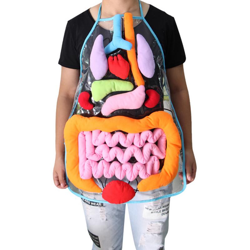 Kid’s Body Apron Toy