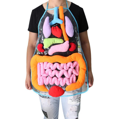 Kid’s Body Apron Toy
