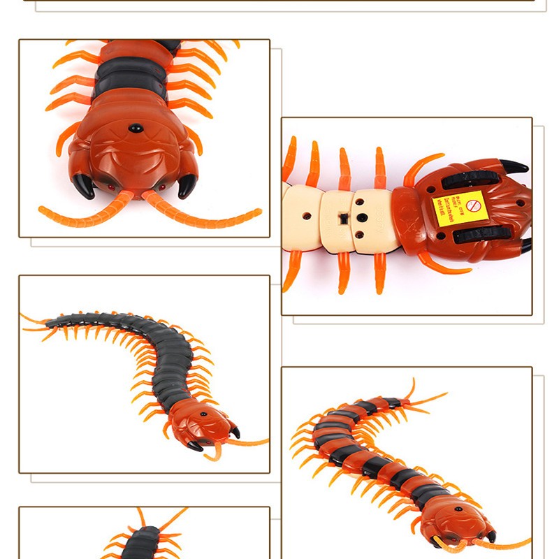 Remote Control Toy