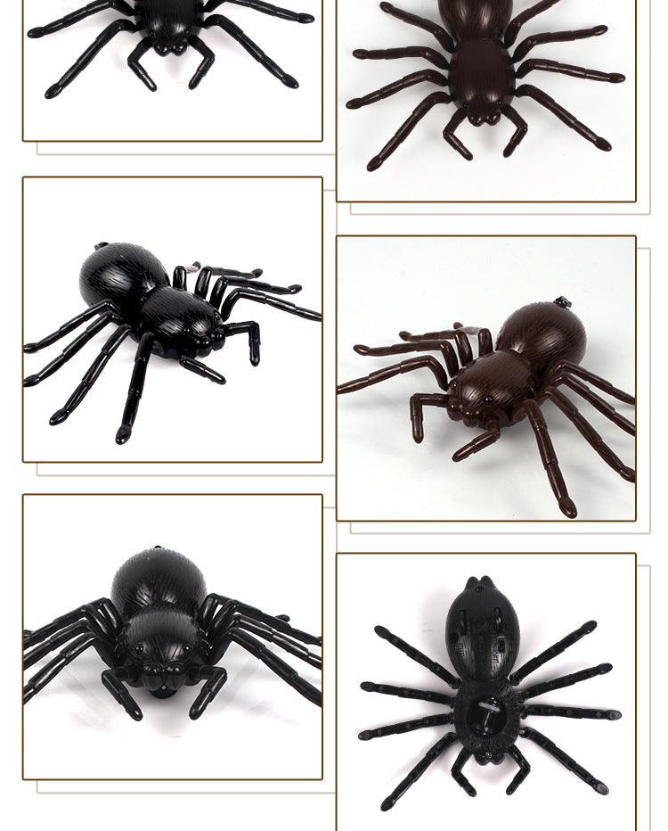 Remote control car spider electronic pet - LJ Enterprise