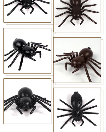Remote control car spider electronic pet - LJ Enterprise