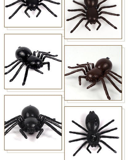 Remote control car spider electronic pet - LJ Enterprise