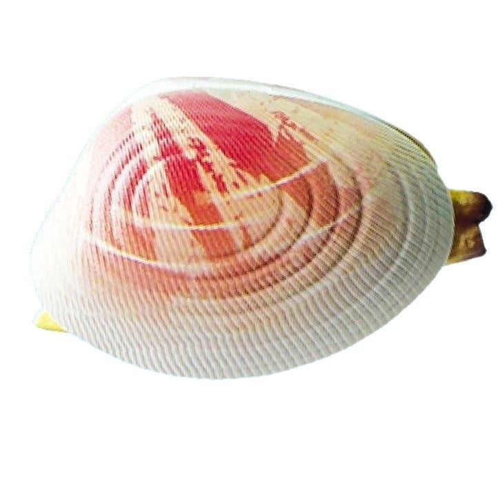 Clam Water Gun Trick Water Toy - LJ Enterprise