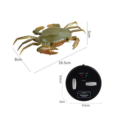 Personalized Infrared Remote Control Insect Toy